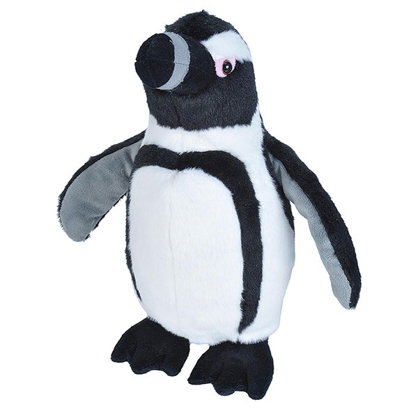 BLACK FOOTED PENGUIN
